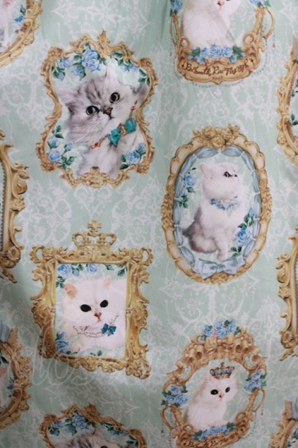 画像4: Enchantlic Enchantilly / 猫の女王の肖像画スカート Free ミント H-25-05-20-016-LO-SK-NS-ZH (4)