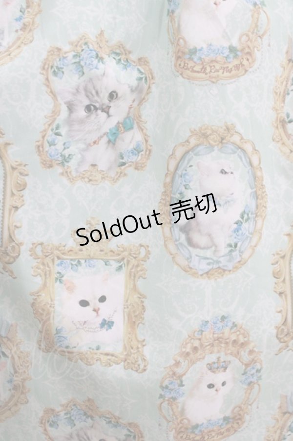 画像4: Enchantlic Enchantilly / 猫の女王の肖像画スカート Free ミント H-25-05-20-016-LO-SK-NS-ZH (4)
