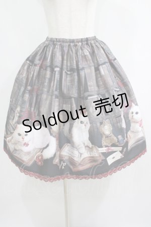 画像: Enchantlic Enchantilly / Queen Cat〜秘密の書斎〜スカート Free ブラック H-25-05-20-020-LO-SK-NS-ZH
