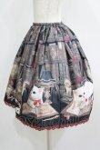 画像2: Enchantlic Enchantilly / Queen Cat〜秘密の書斎〜スカート Free ブラック H-25-05-20-020-LO-SK-NS-ZH (2)