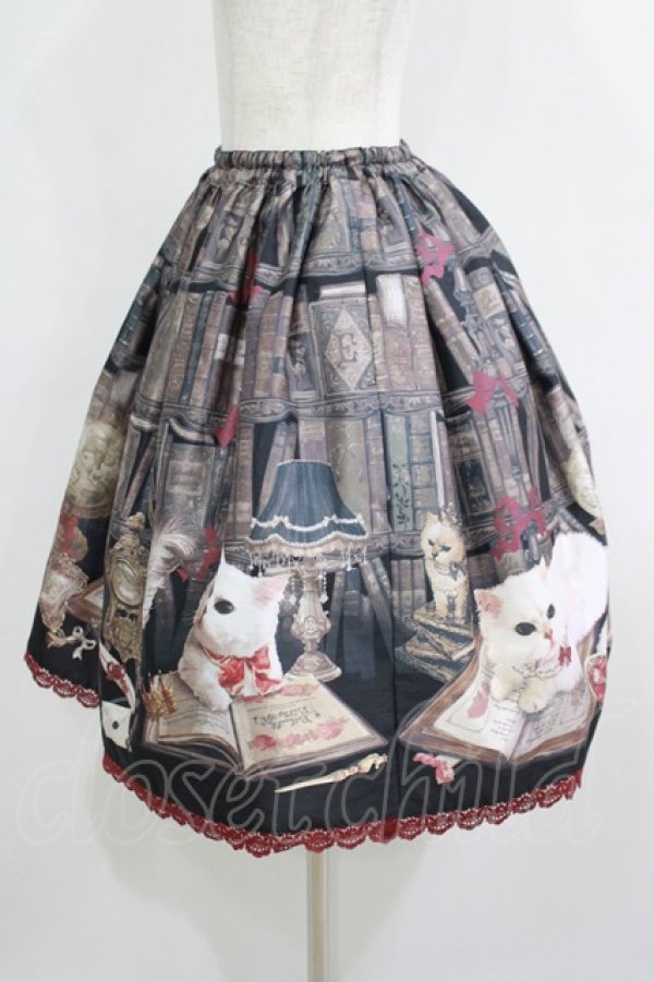 画像2: Enchantlic Enchantilly / Queen Cat〜秘密の書斎〜スカート Free ブラック H-25-05-20-020-LO-SK-NS-ZH (2)