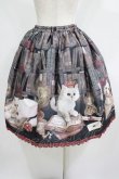 画像3: Enchantlic Enchantilly / Queen Cat〜秘密の書斎〜スカート Free ブラック H-25-05-20-020-LO-SK-NS-ZH (3)