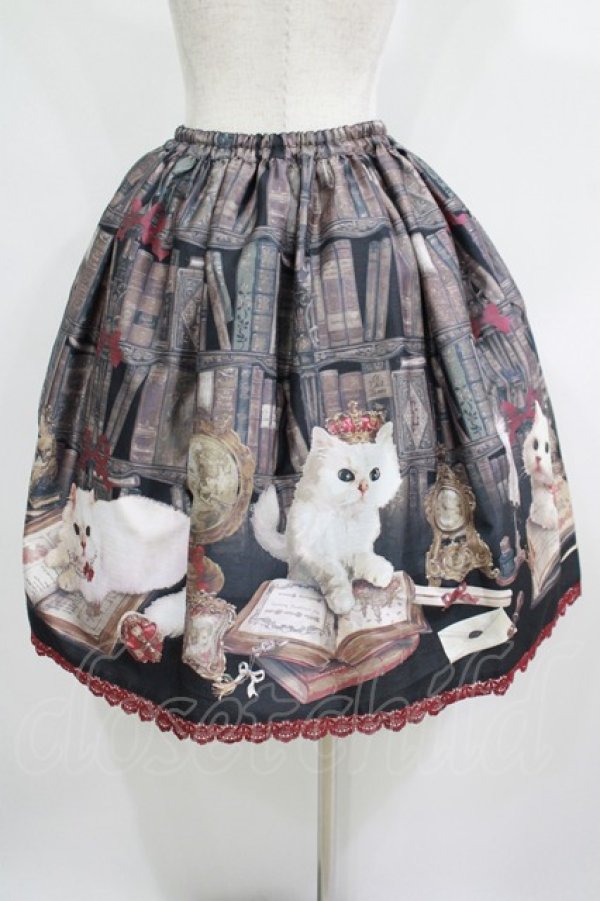画像3: Enchantlic Enchantilly / Queen Cat〜秘密の書斎〜スカート Free ブラック H-25-05-20-020-LO-SK-NS-ZH (3)