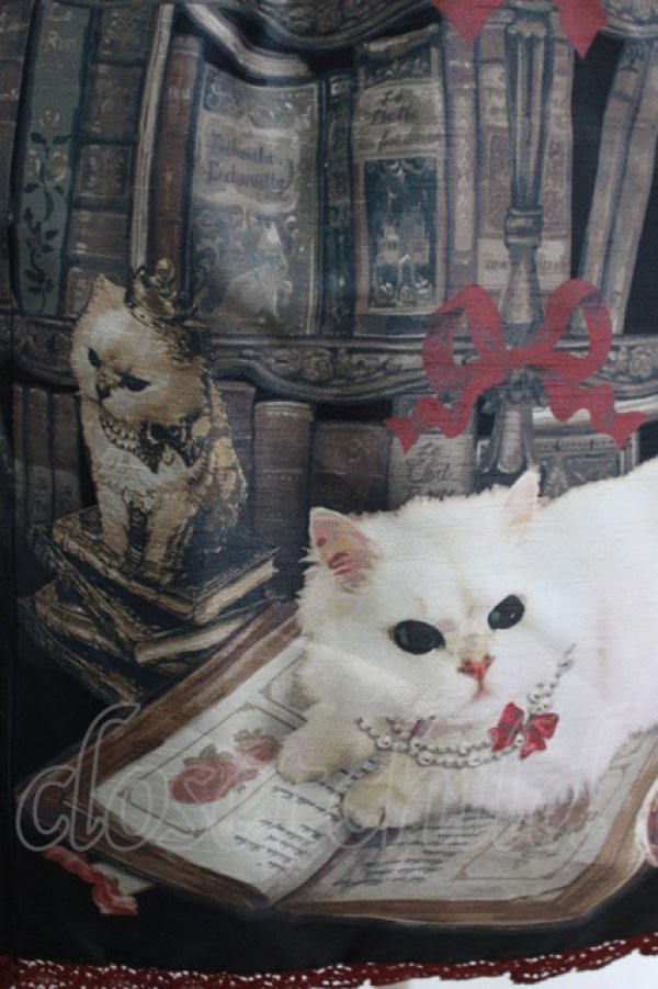 画像4: Enchantlic Enchantilly / Queen Cat〜秘密の書斎〜スカート Free ブラック H-25-05-20-020-LO-SK-NS-ZH (4)