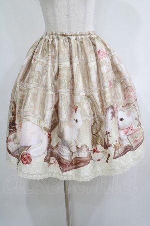 画像: Enchantlic Enchantilly / Queen Cat〜秘密の書斎〜スカート Free アイボリー H-25-05-20-022-LO-SK-NS-ZH