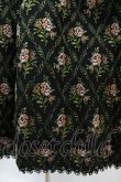 画像5: Victorian maiden / ノーブルクイーンゴブランドレス Free ブラック H-25-05-20-1011-CL-OP-NS-ZH (5)