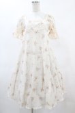画像1: SERAPHIM / ブーケワンピース Free アイボリー H-25-05-20-1023-LO-OP-NS-ZH (1)