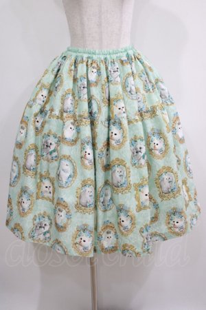 画像: Enchantlic Enchantilly / 猫の女王の肖像画スカート Free ミント H-25-05-20-016-LO-SK-NS-ZH