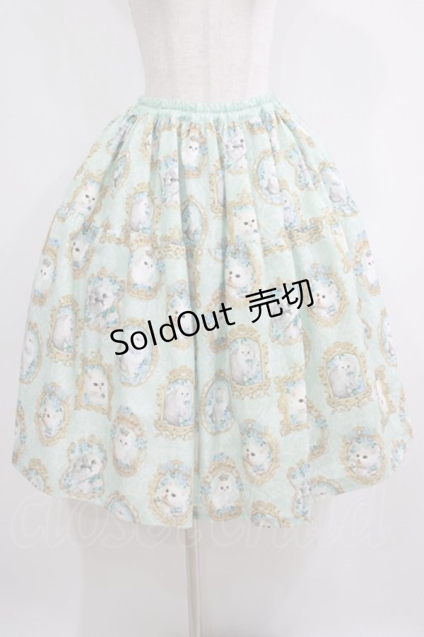 画像1: Enchantlic Enchantilly / 猫の女王の肖像画スカート Free ミント H-25-05-20-016-LO-SK-NS-ZH (1)