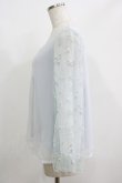 画像2: axes femme / 袖チュール刺繍シフォントップス M サックス H-25-05-27-053-AX-TO-NS-ZH (2)