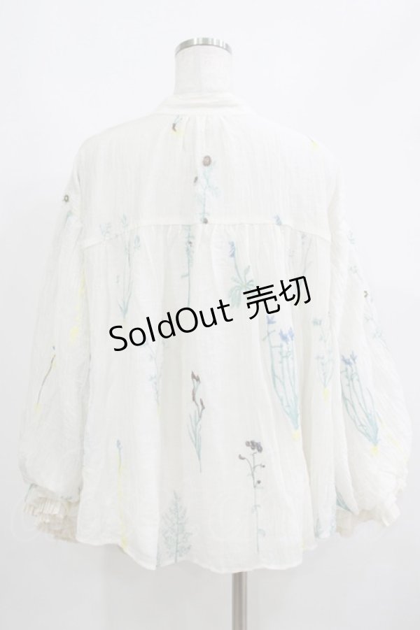 画像3: Miss Egg（海外ロリータブランド） / 庭園の花の刺繍ヴィクトリアンブラウス M オフ H-25-05-27-055-GO-BL-NS-ZH (3)
