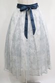 画像1: axes femme / 線画花柄レイヤードスカート M サックス H-25-05-28-023-AX-SK-NS-ZH (1)