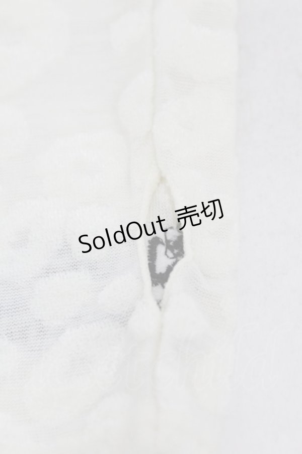 画像3: ALGONQUINS / アームカバー  アイボリー H-25-06-01-1060-AL-ZA-KB-ZH (3)