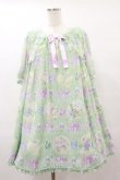 画像1: Angelic Pretty / Jewel Marine Specialワンピース Free ミント H-25-06-03-082-AP-OP-NS-ZH (1)
