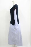 画像2: Jane Marple Dans Le Salon / Tilden vest and stripe trompe-l'oeil dress  ネイビー×ブルー H-25-06-04-001-JM-OP-KB-ZH (2)