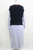 画像3: Jane Marple Dans Le Salon / Tilden vest and stripe trompe-l'oeil dress  ネイビー×ブルー H-25-06-04-001-JM-OP-KB-ZH (3)