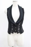 画像1: Ozz oneste / 薔薇刺繍ベスト  黒 H-25-06-04-015-OO-TO-KB-ZH (1)