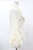 画像3: Angelic Pretty / Romantic Sweet Lacyブラウス Free アイボリー H-25-06-05-1023-AP-BL-NS-ZH (3)