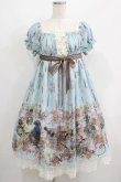 画像1: ALICE and the PIRATES / Victorian tear bottle柄ワンピース Free サックス H-25-06-06-009-PA-OP-NS-ZH (1)