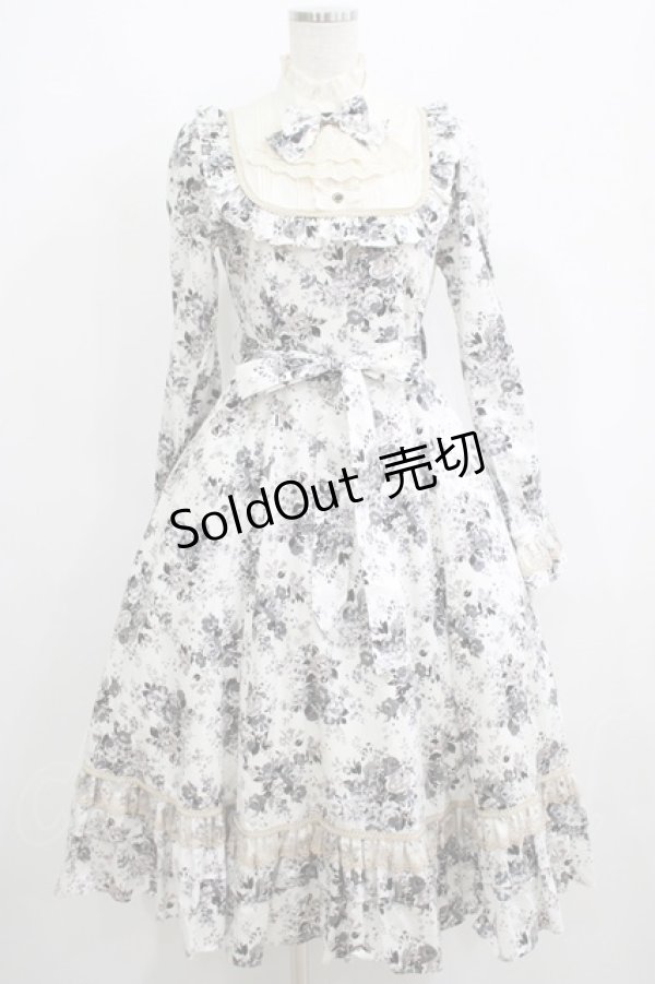 画像1: Victorian maiden / アンティークロココブーケクラシカルドールロングドレス Free モノトーン H-25-06-06-012-CL-OP-NS-ZH (1)