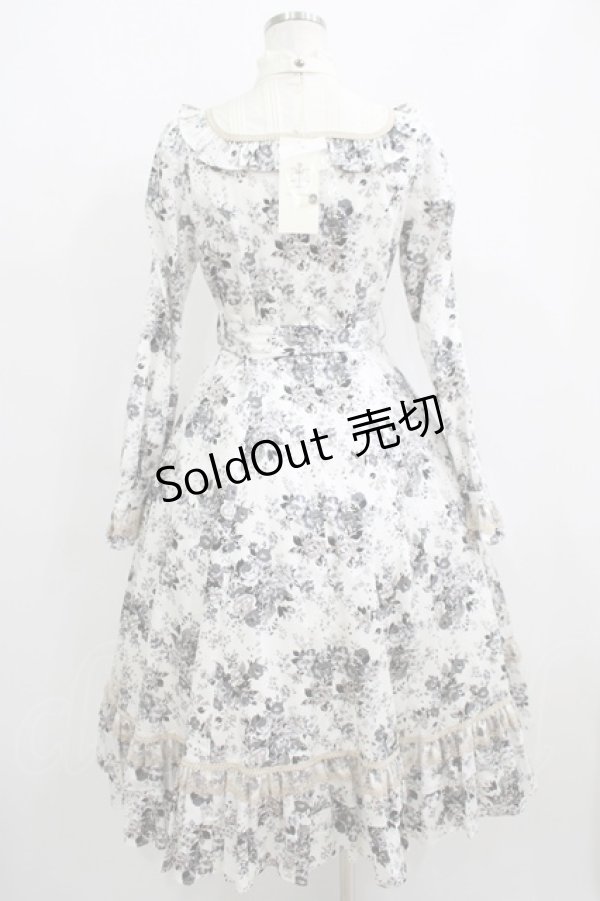 画像3: Victorian maiden / アンティークロココブーケクラシカルドールロングドレス Free モノトーン H-25-06-06-012-CL-OP-NS-ZH (3)