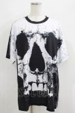 画像1: HELL CAT PUNKS / フルグラフィックBIG Tシャツ F 黒 H-25-06-08-026-PU-TO-KB-ZH (1)