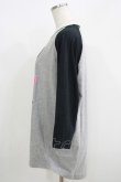 画像2: HELL CAT PUNKS / プリントカットソー L グレー×黒 H-25-06-08-040-PU-TO-KB-ZH (2)
