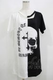 画像1: HELL CAT PUNKS / バイカラーロングTシャツSKULL F 黒×白 H-25-06-08-045-PU-TO-KB-ZH (1)