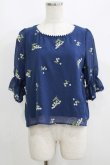 画像1: Fi.n.t / ミモザ総刺繍プルオーバーブラウス Free NAVY H-25-06-10-036-CA-BL-NS-ZH (1)