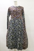 画像1: Jane Marple Dans Le Salon / Poiret & Hildaドレス  ブラウン H-25-06-15-052-JM-OP-KB-ZH (1)