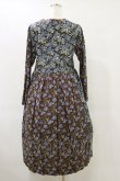 画像2: Jane Marple Dans Le Salon / Poiret & Hildaドレス  ブラウン H-25-06-15-052-JM-OP-KB-ZH (2)