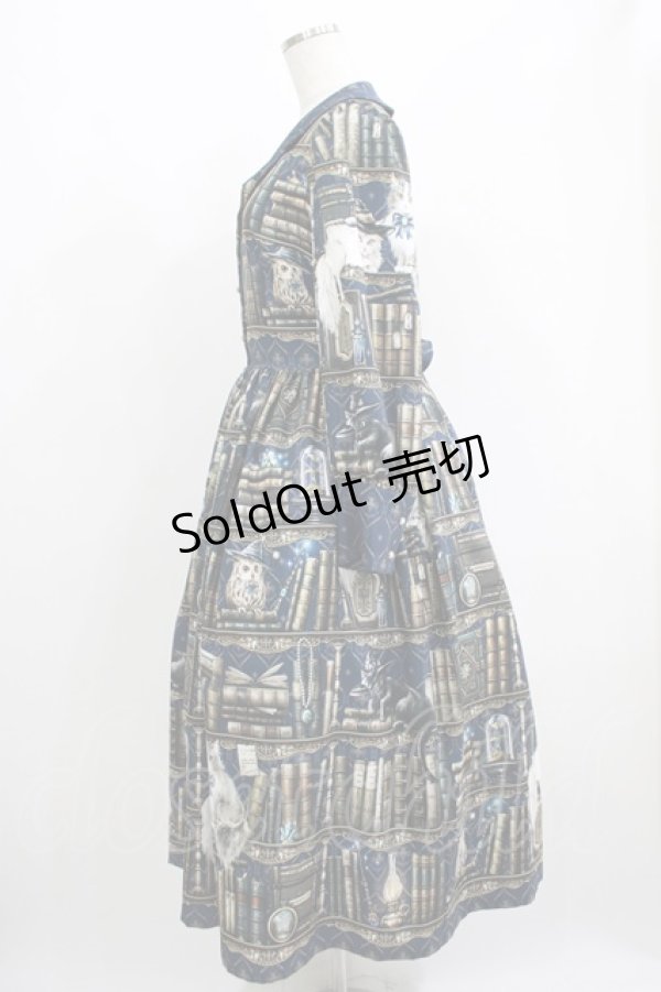 画像2: Royal Princess Alice / 魔法図書館・粟木こぼね様コラボワンピース Free ネイビー H-25-06-16-001-LO-OP-NS-ZH (2)