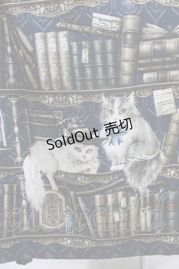 画像4: Royal Princess Alice / 魔法図書館・粟木こぼね様コラボワンピース Free ネイビー H-25-06-16-001-LO-OP-NS-ZH (4)