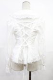 画像3: metamorphose / ローズレーズブラウス Free アイボリー H-25-06-18-1035-ME-BL-NS-ZH (3)
