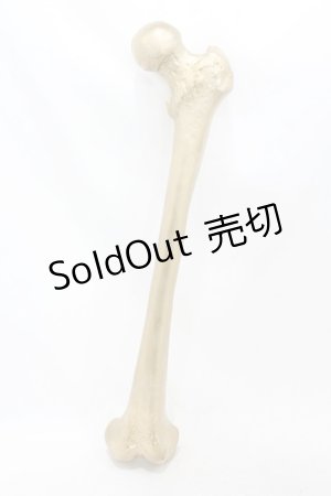 画像: THE BLACKENED TEETH / Femur Bone Wall Hanging  ゴールド H-25-06-25-1001-0-ZA-KB-ZH