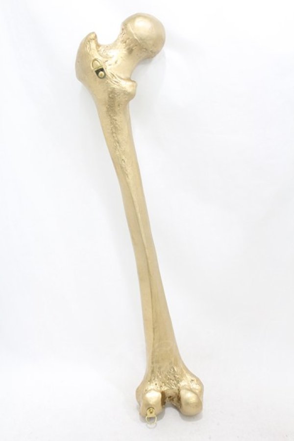 画像2: THE BLACKENED TEETH / Femur Bone Wall Hanging  ゴールド H-25-06-25-1001-0-ZA-KB-ZH (2)