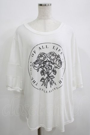 画像: HELL CAT PUNKS / ローズプリントメッシュ切替カットソー  白 H-25-06-25-073-PU-TO-KB-ZH