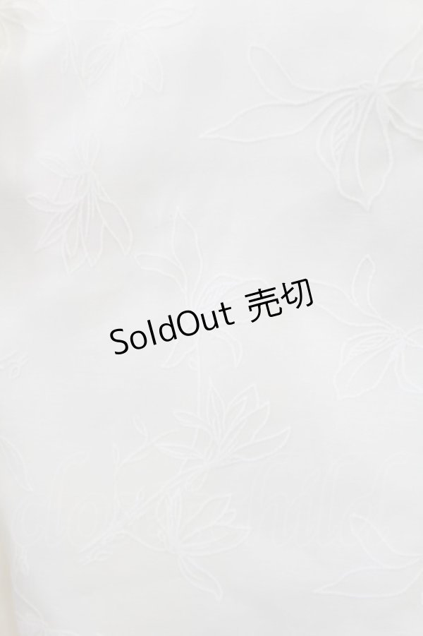 画像3: An MILLE / ボウタイフリルブラウス Free アイボリー H-25-06-26-1023-EL-BL-NS-ZH (3)