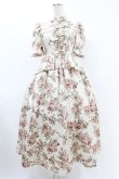 画像1: Victorian maiden / afternoonベリーヴィクトリアンサマードレス Free ローズ H-25-06-30-1012-CL-OP-NS-ZH (1)
