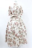 画像2: Victorian maiden / afternoonベリーヴィクトリアンサマードレス Free ローズ H-25-06-30-1012-CL-OP-NS-ZH (2)