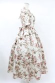 画像3: Victorian maiden / afternoonベリーヴィクトリアンサマードレス Free ローズ H-25-06-30-1012-CL-OP-NS-ZH (3)