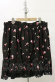 画像1: metamorphose /Blooming Gardenフリルスカート Free ブラック H-25-07-03-1021-ME-SK-NS-ZH (1)