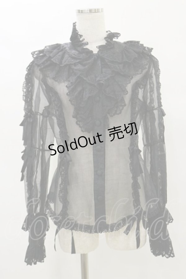 画像1: metamorphose / ラッセルレースオーガンジィブラウス Free ブラック H-25-07-03-1026-ME-BL-NS-ZH (1)