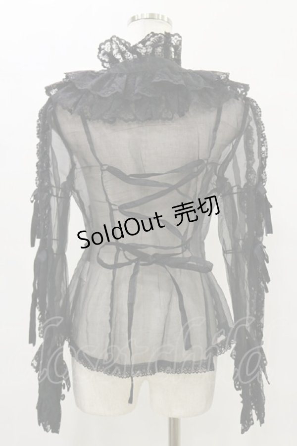 画像2: metamorphose / ラッセルレースオーガンジィブラウス Free ブラック H-25-07-03-1026-ME-BL-NS-ZH (2)