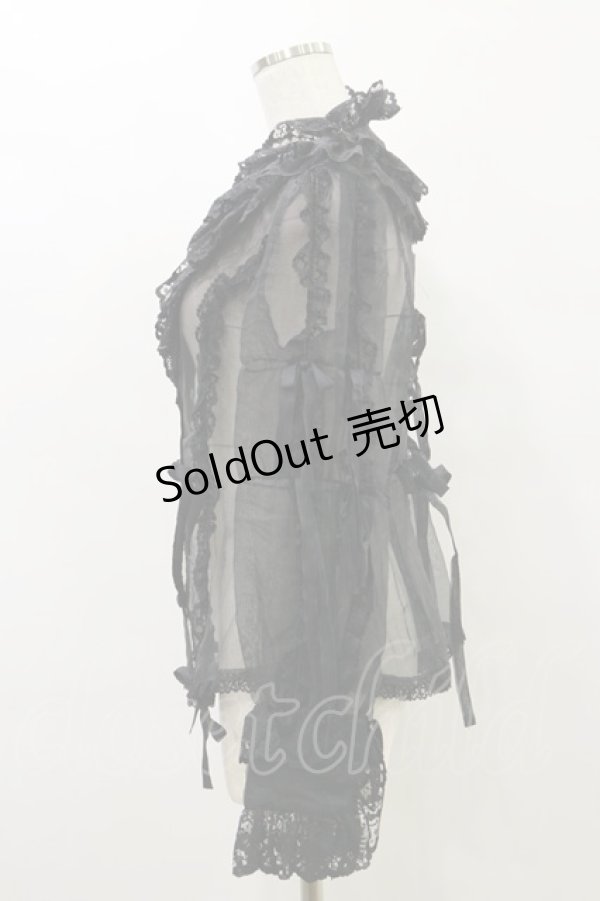画像3: metamorphose / ラッセルレースオーガンジィブラウス Free ブラック H-25-07-03-1026-ME-BL-NS-ZH (3)