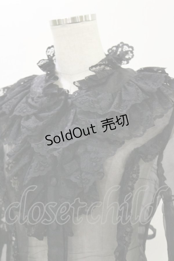 画像4: metamorphose / ラッセルレースオーガンジィブラウス Free ブラック H-25-07-03-1026-ME-BL-NS-ZH (4)