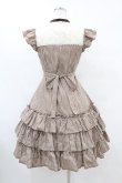 画像2: Victorian maiden / ドロシードールワンピース Free ブラウン H-25-07-03-023-CL-OP-NS-ZH (2)