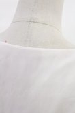 画像3: LIZ LISA / ストロベリーレースギンガムワンピース Free レッド H-25-07-04-1012-LO-OP-NS-ZH (3)