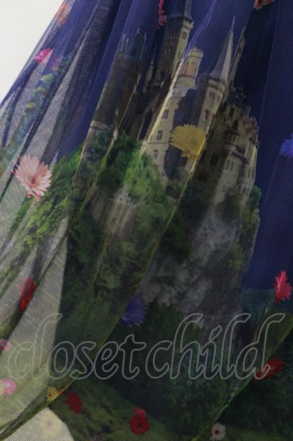 画像3: Jane Marple / Dreamy Dreamミドルチュチュスカート  トワイライト H-25-10-14-013-JM-SK-KB-ZH (3)