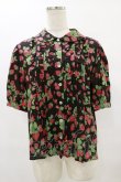 画像1: Jane Marple / Strawberry gardenブラウス  ブラック H-25-07-10-022-JM-BL-KB-ZH (1)